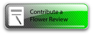 Click to contribute a review of cannabis flowers.